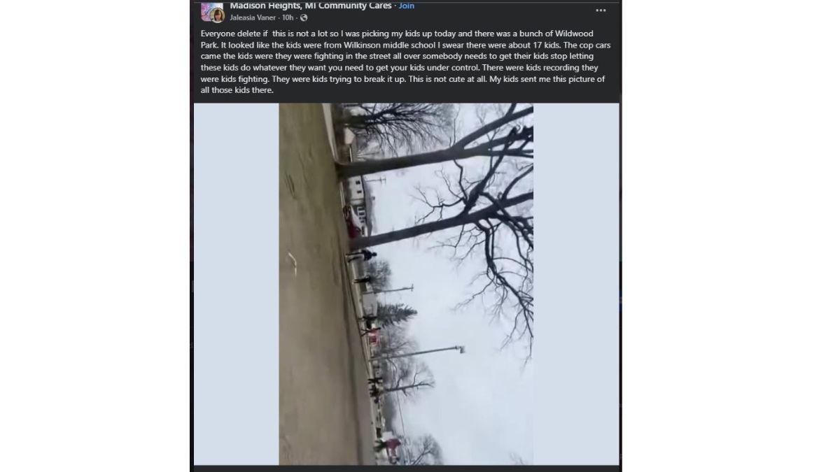 Kids Fight Reported at Madison Heights Wildwood Park Sparks Community Concern