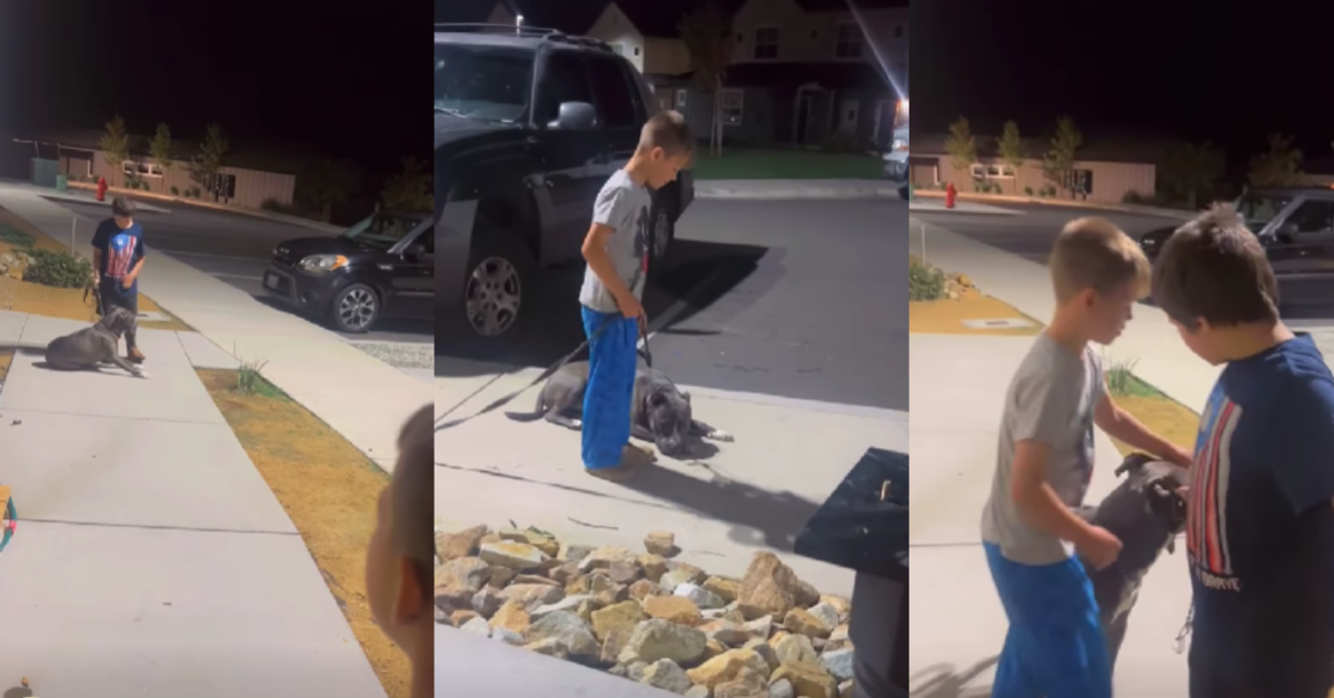 Former Redding, California Dirt Bike Racer Claims His Dog Was Abused While Baby Mama Ignored Training and Let a Child Push Him